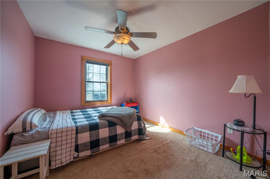 107 Center Street Crocker, MO 65452 - Photo 24 of 35