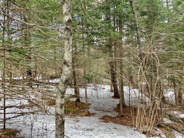 309 Beckwith Road Cornville, ME 04976 - Photo 42 of 54 IMG_6717