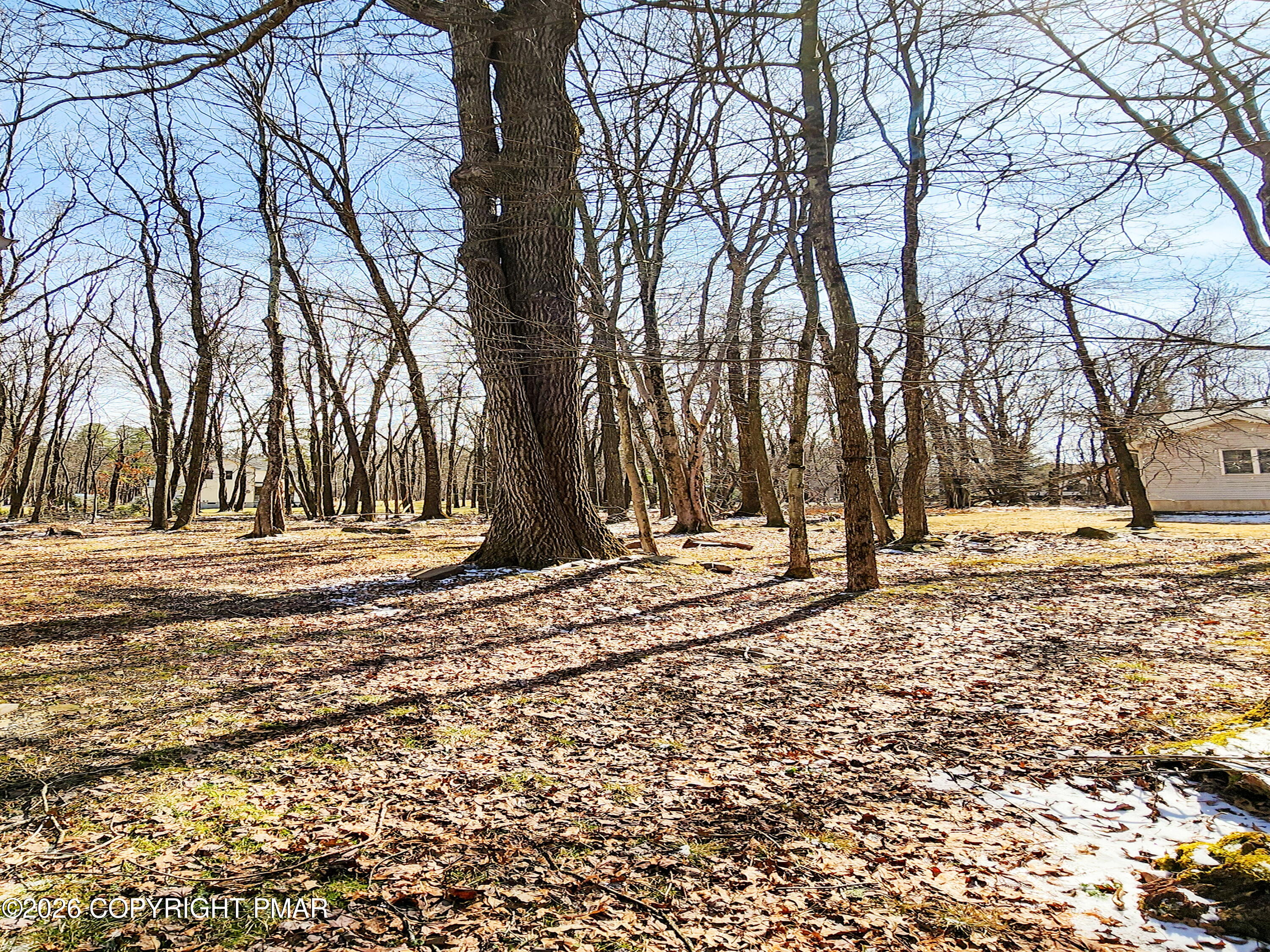 6319 Laurel Road Pocono Summit, PA 18346 - Photo 21 of 21 6319 Laurel Backyard