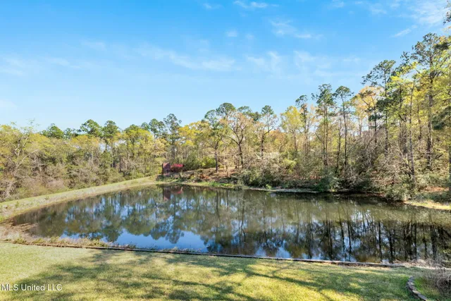 $2,400,000 | 1223 Wire Road West, Perkinston, MS 39573