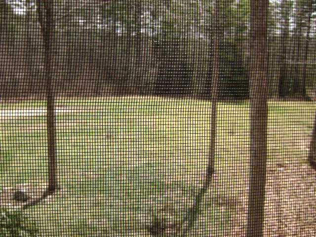 55 Hinks Road Jefferson, ME 04348 - Photo 13 of 24 Sunroom. From sunroom overlooking...