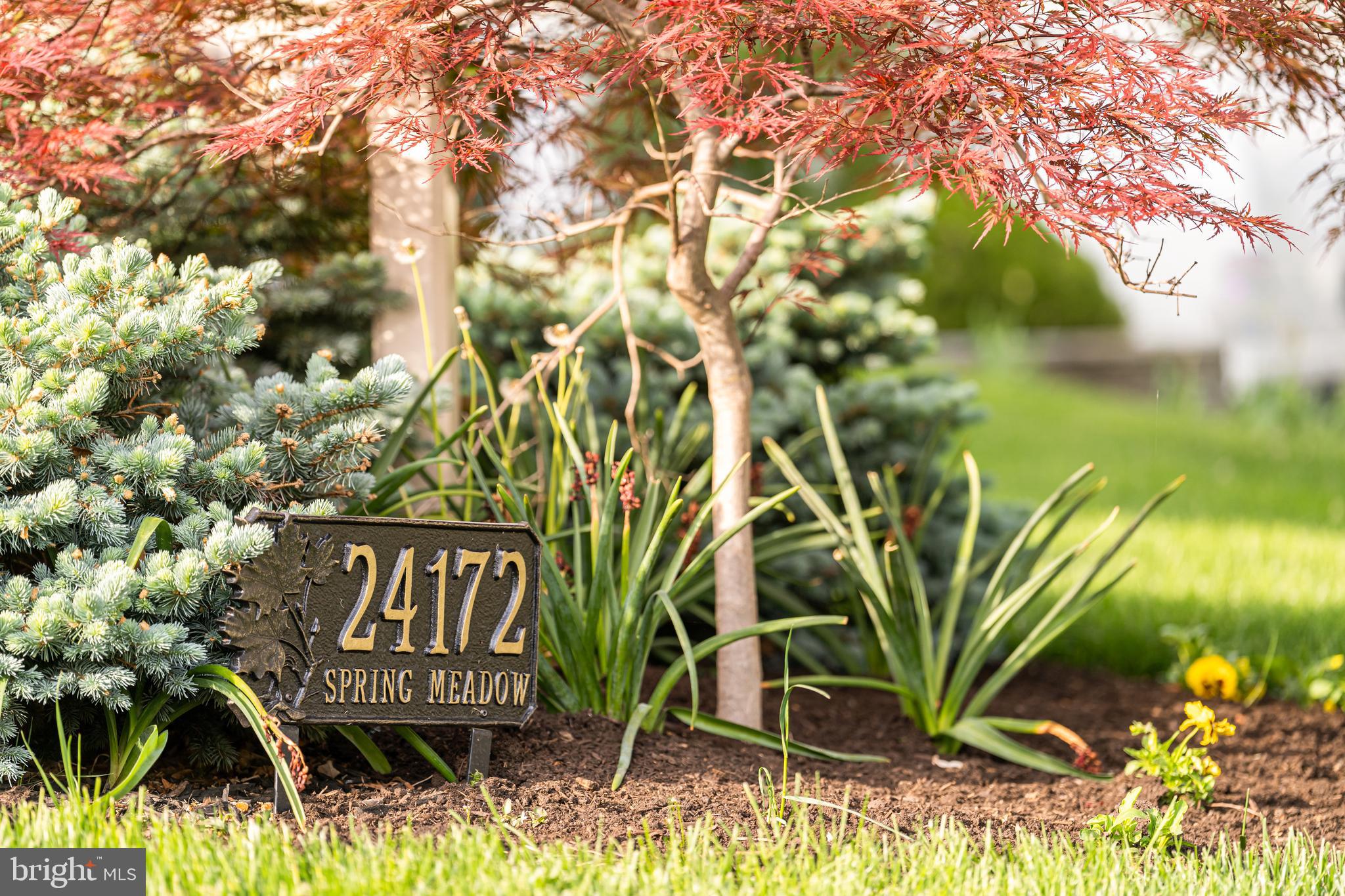 24172 Spring Meadow Circle Aldie, VA 20105 - Photo 11 of 96