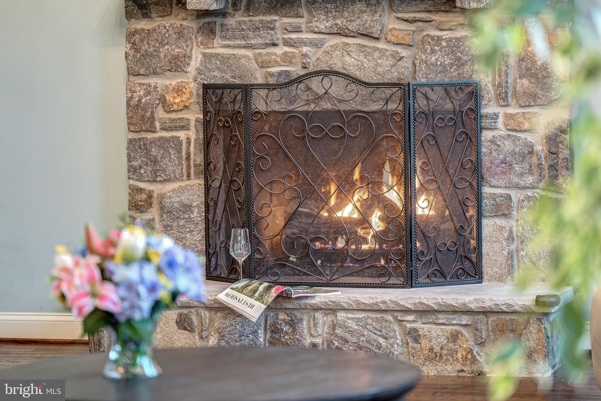 24172 Spring Meadow Circle Aldie, VA 20105 - Photo 31 of 96