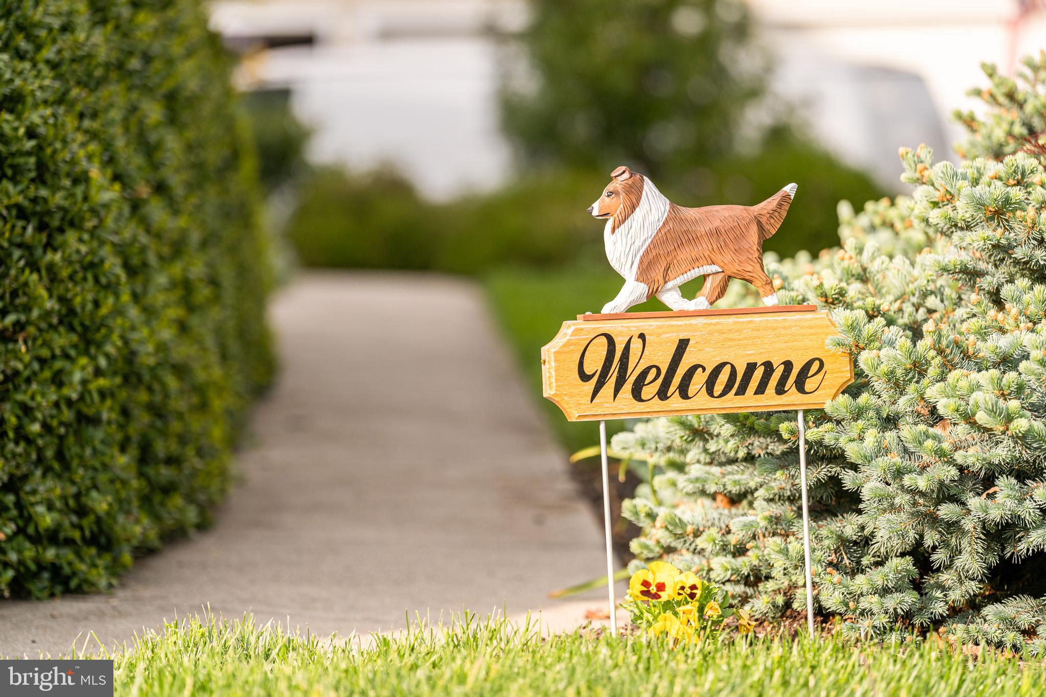 24172 Spring Meadow Circle Aldie, VA 20105 - Photo 4 of 96