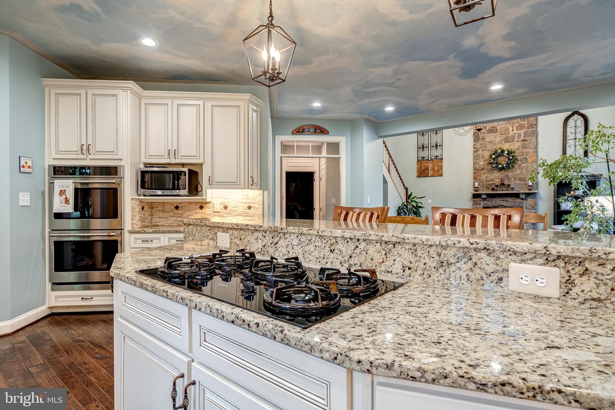 24172 Spring Meadow Circle Aldie, VA 20105 - Photo 44 of 96