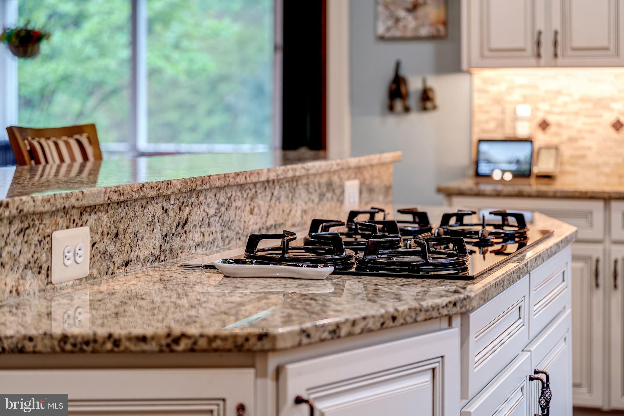 24172 Spring Meadow Circle Aldie, VA 20105 - Photo 45 of 96