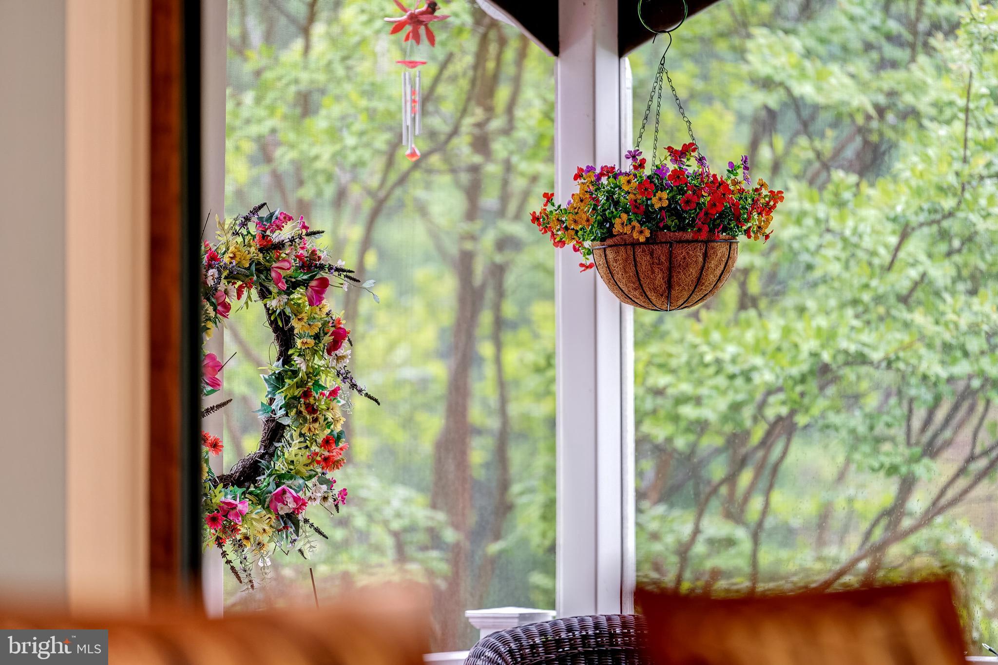 24172 Spring Meadow Circle Aldie, VA 20105 - Photo 49 of 96