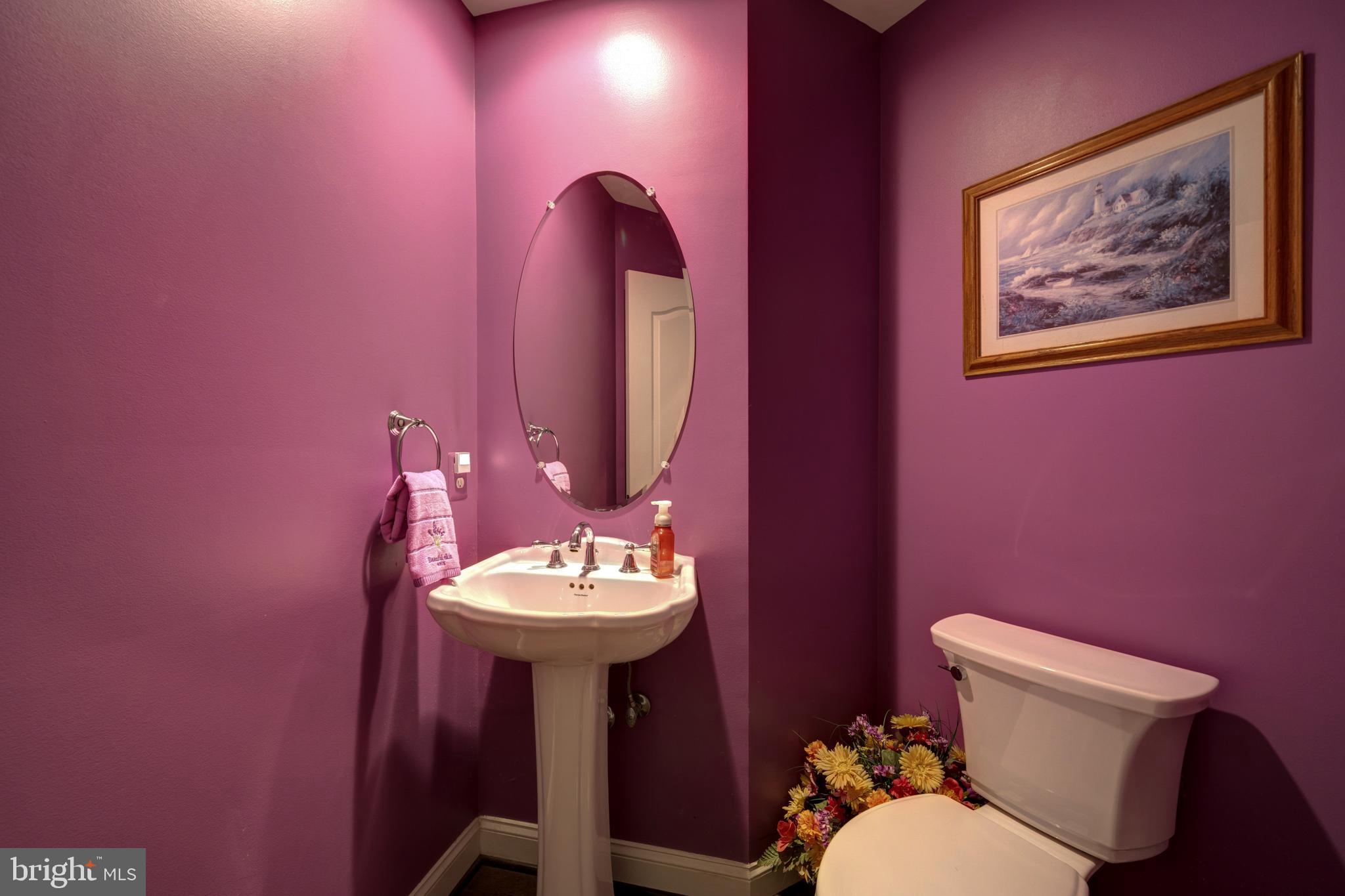 24172 Spring Meadow Circle Aldie, VA 20105 - Photo 51 of 96