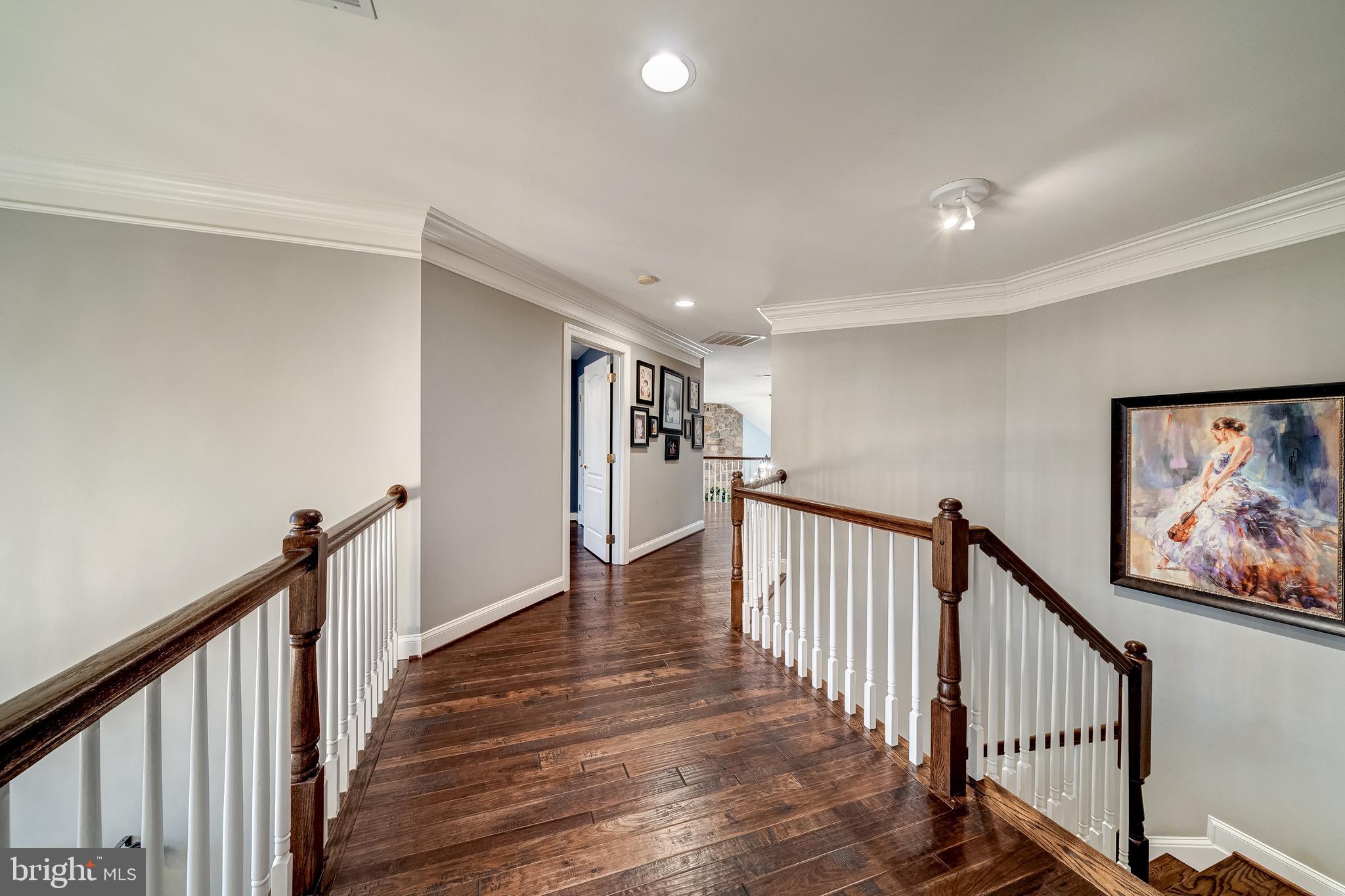 24172 Spring Meadow Circle Aldie, VA 20105 - Photo 53 of 96