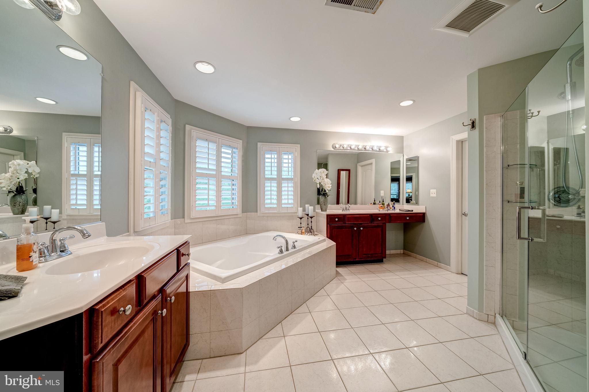 24172 Spring Meadow Circle Aldie, VA 20105 - Photo 59 of 96