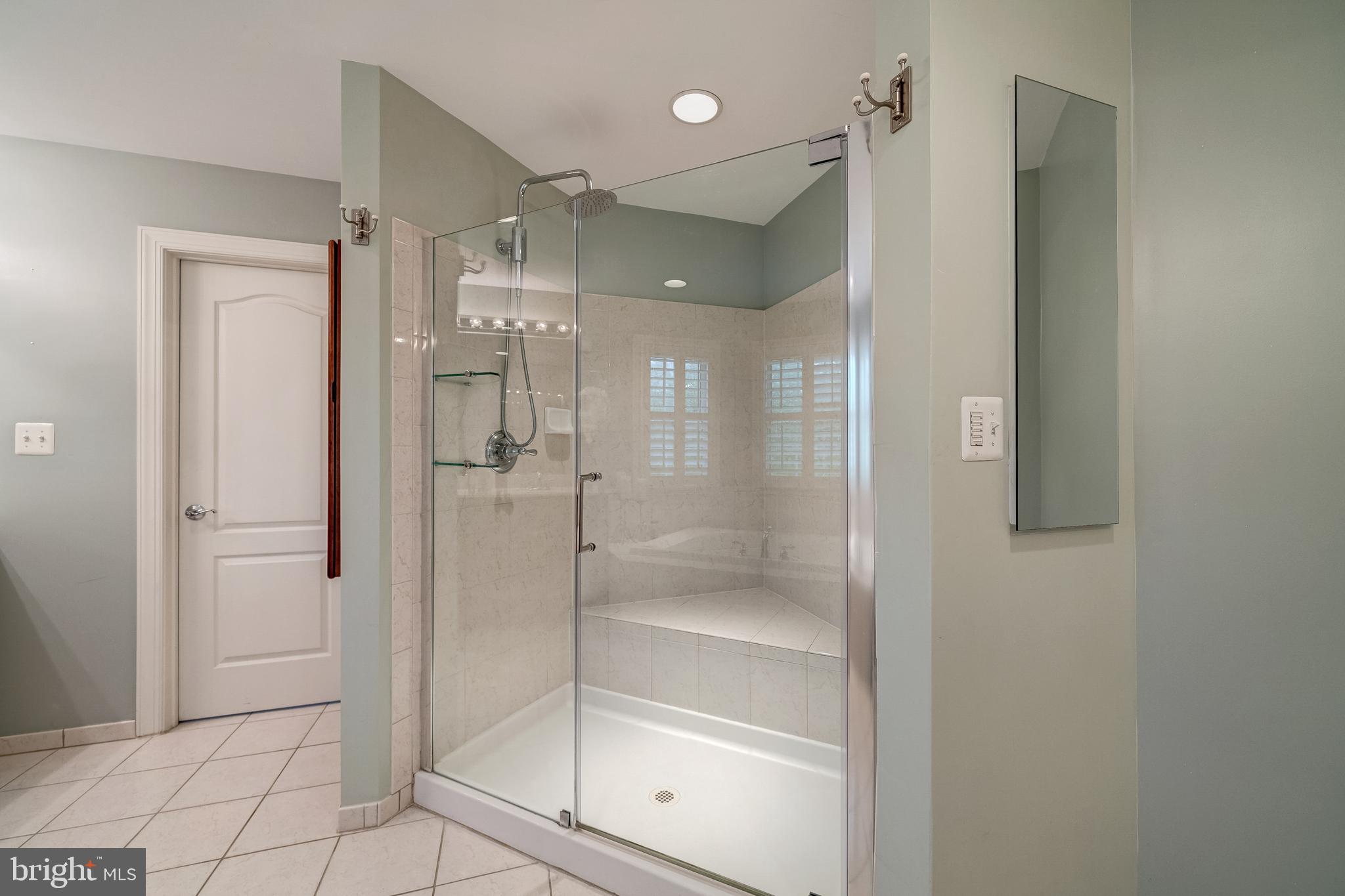 24172 Spring Meadow Circle Aldie, VA 20105 - Photo 60 of 96