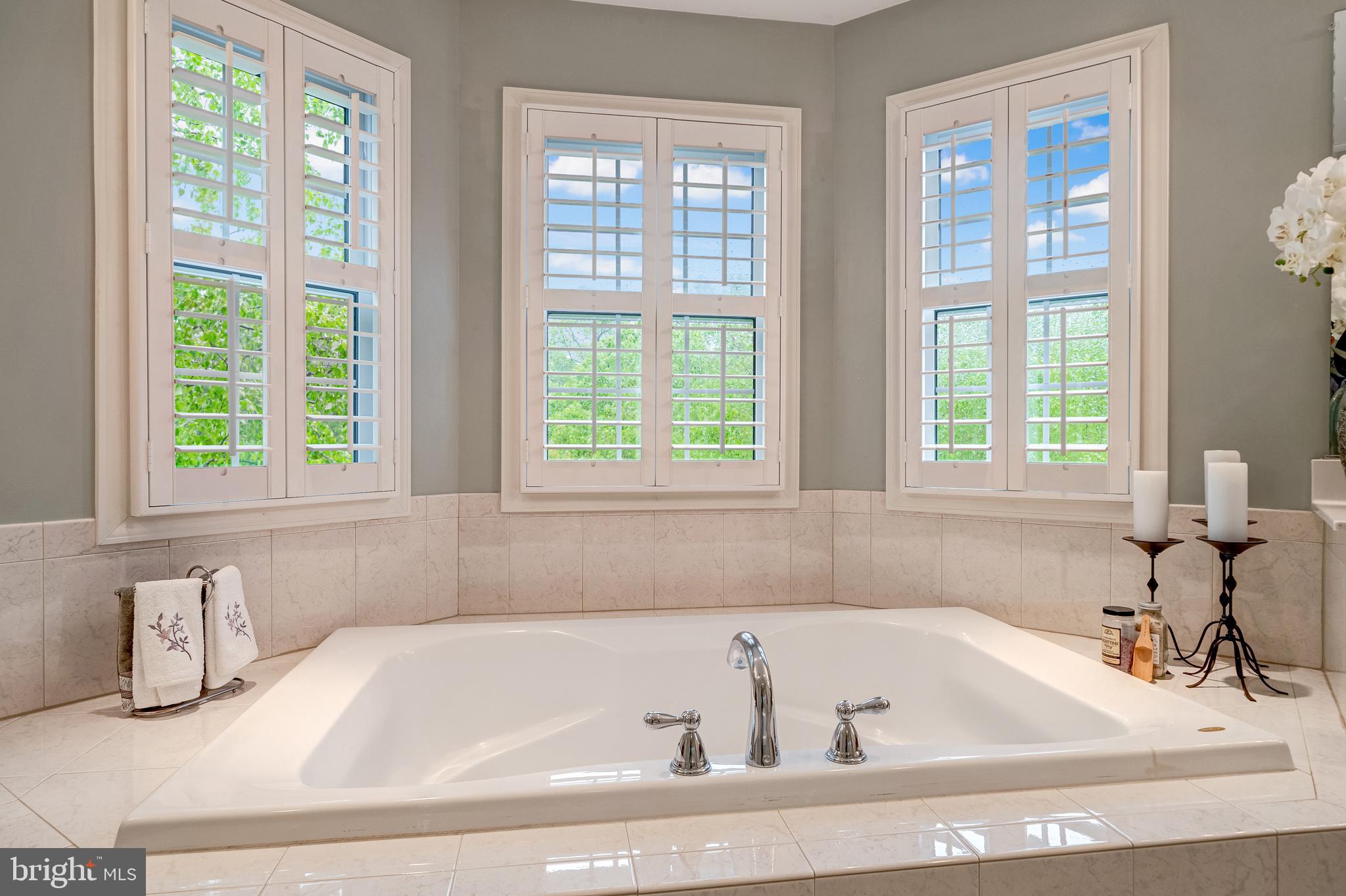 24172 Spring Meadow Circle Aldie, VA 20105 - Photo 61 of 96