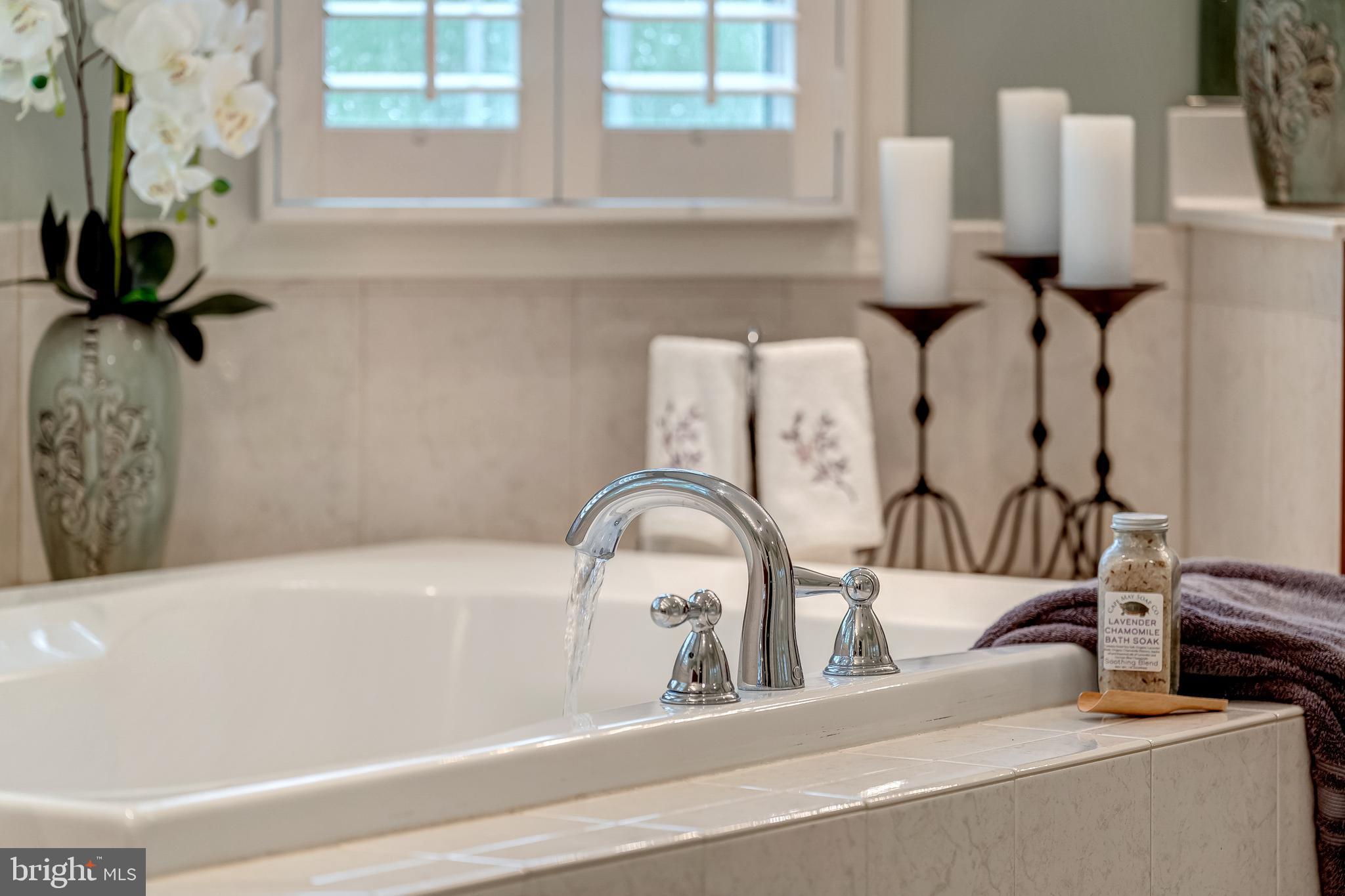 24172 Spring Meadow Circle Aldie, VA 20105 - Photo 62 of 96