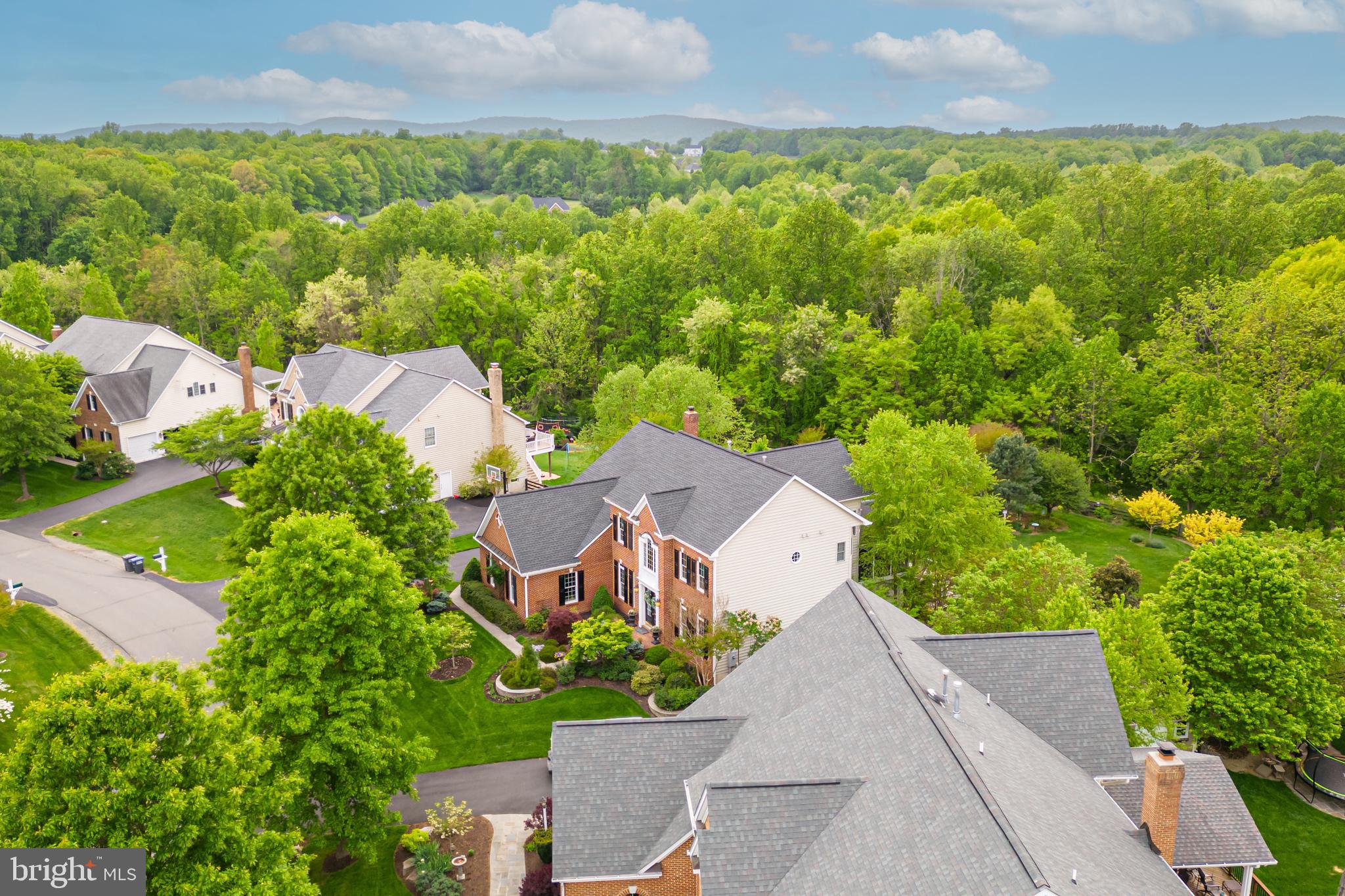24172 Spring Meadow Circle Aldie, VA 20105 - Photo 96 of 96