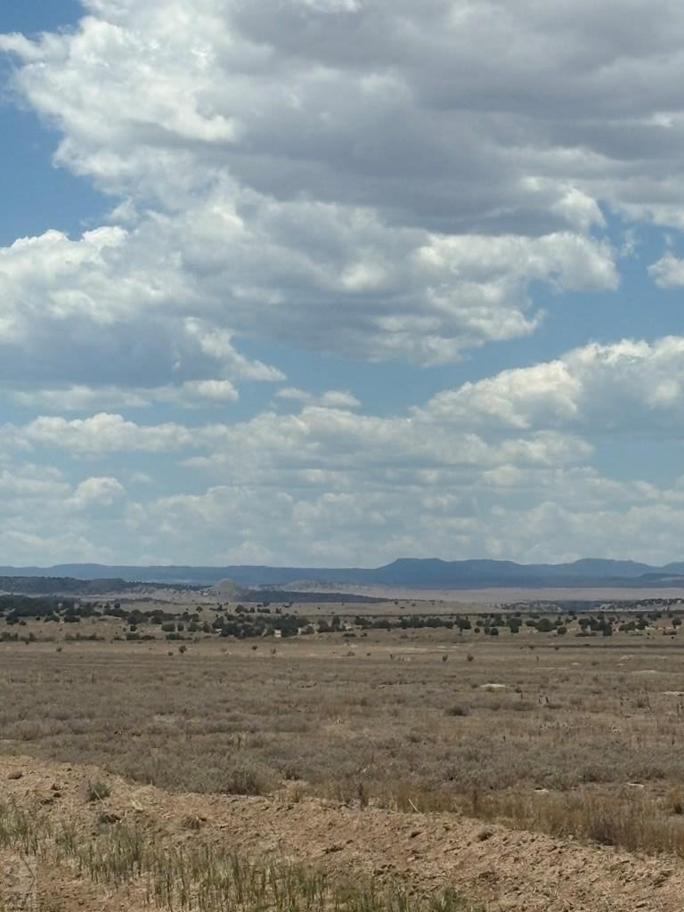 222-224 Turkey Ridge Ranch Walsenburg, CO 81089 - Photo 4 of 13