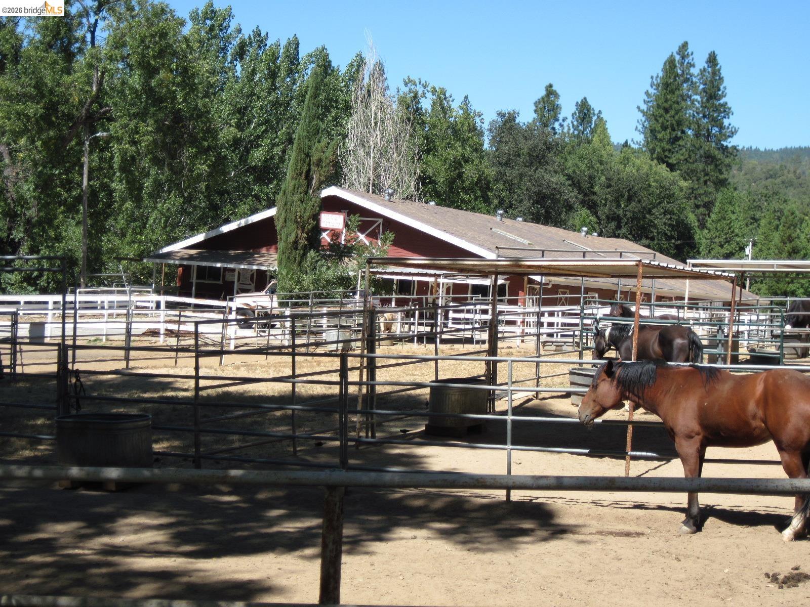21532 Crystal Falls Drive Sonora, CA 95370 - Photo 42 of 51