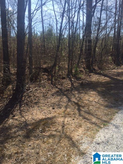 30 County Road, Unit 27 29 Cragford, AL 36255 - Photo 5 of 7