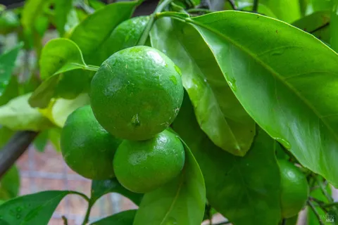 a view of utility room