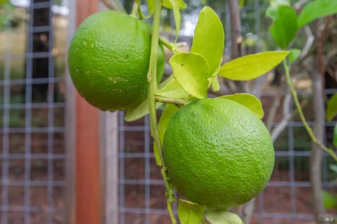 a view of an empty room with wooden walls