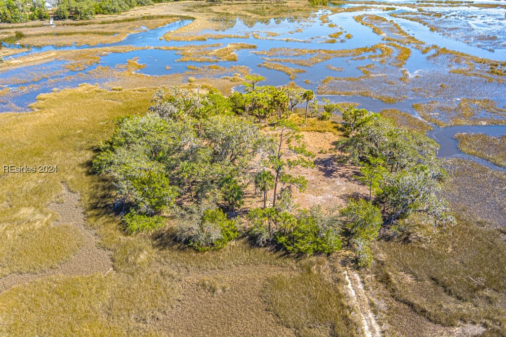 103 Palmetto Bluff Road Bluffton, SC 29910 - Photo 47 of 57 Aerial view of island on property.