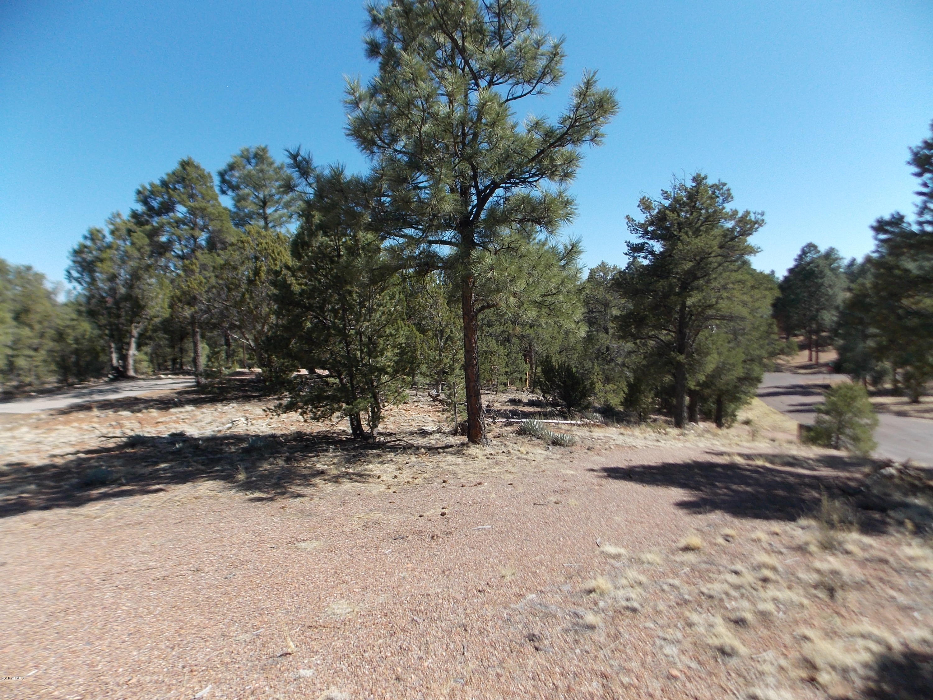 2252 Fools Circle, Unit 69 Overgaard, AZ 85933 - Photo 3 of 4 DSCN9449