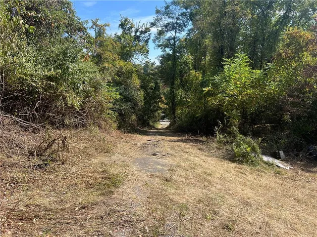 a view of a yard with plants and trees