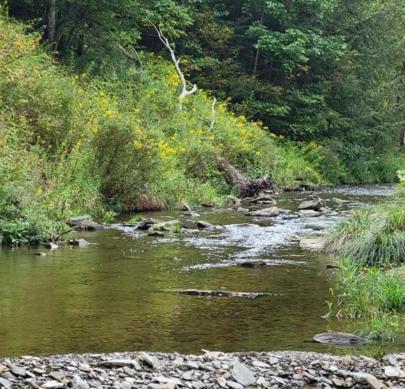 1073 County Rt116 Marathon, NY 13803 - Photo 2 of 47 Gallery Image 2