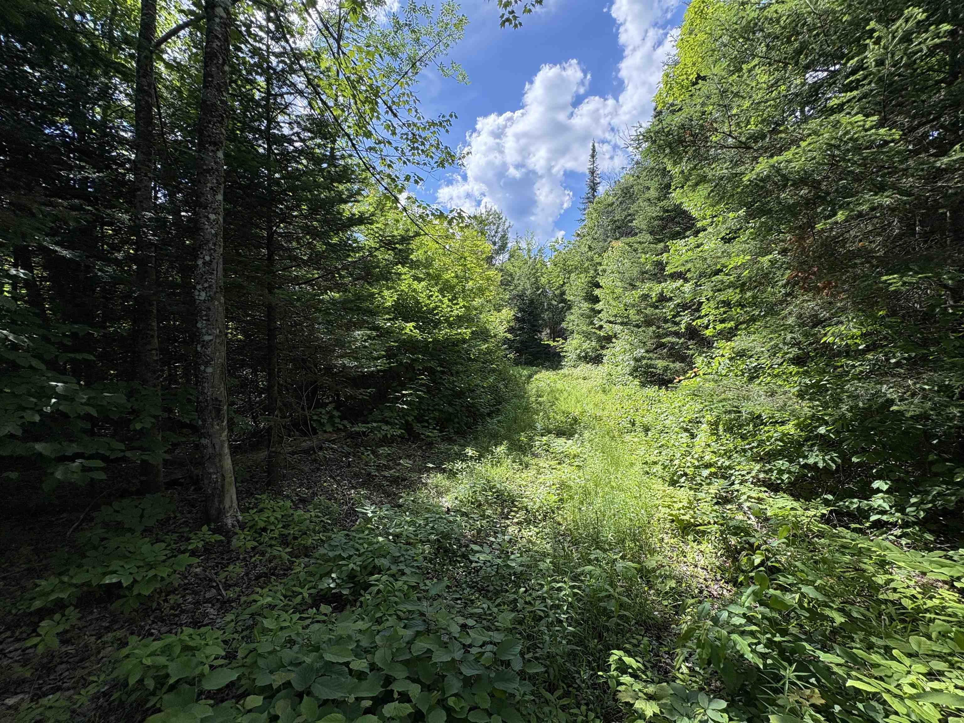 208 Drake Pl Road Sheffield, VT 05866 - Photo 38 of 43