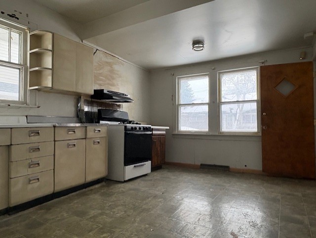 10607 South May Street Chicago, IL 60643 - Photo 5 of 15 a kitchen with appliances cabinets and a window