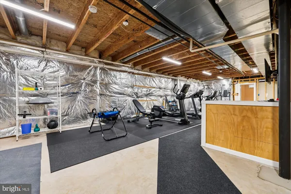 a flag is sitting in the middle of forest