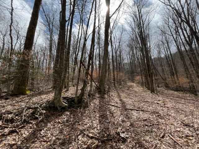 6 Squally Road Robbinsville, NC 28771 - Photo 14 of 19