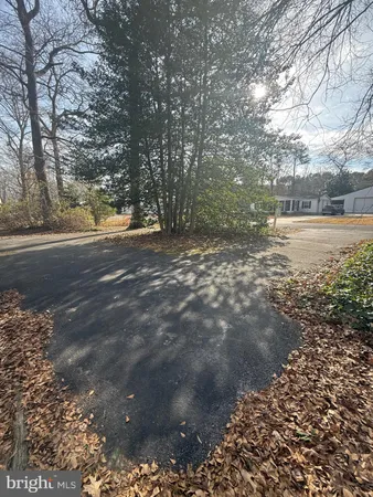 a view of a yard with a tree
