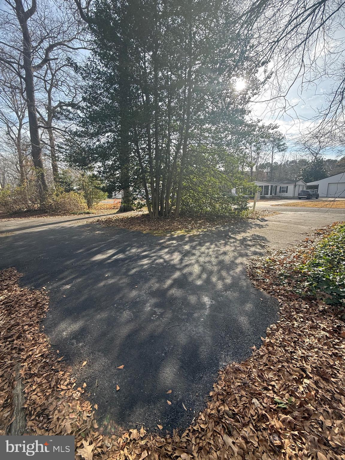 20 Patterson Drive Georgetown, DE 19947 - Photo 2 of 20