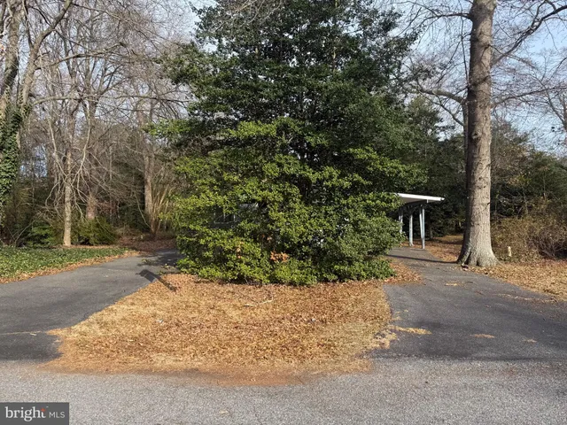 a view of a house with a tree