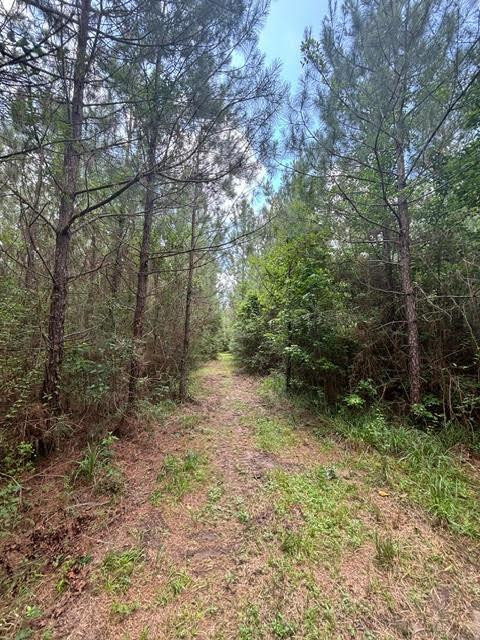 0 East Lewiston Road Kentwood, LA 70444 - Photo 22 of 26 Photo 23