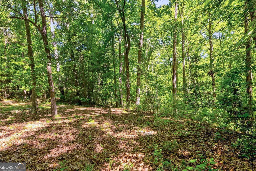 2917 Ruckersville Road Elberton, GA 30635 - Photo 11 of 18 a view of outdoor space with trees