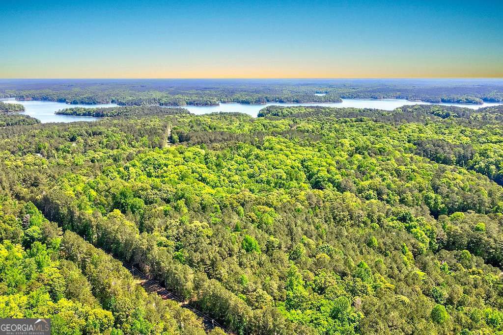 2917 Ruckersville Road Elberton, GA 30635 - Photo 18 of 18 a view of a city with lush green forest