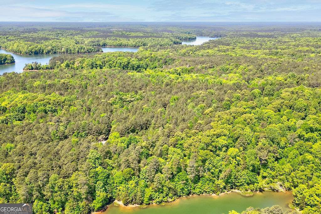 2917 Ruckersville Road Elberton, GA 30635 - Photo 5 of 18 a view of a lake with a yard