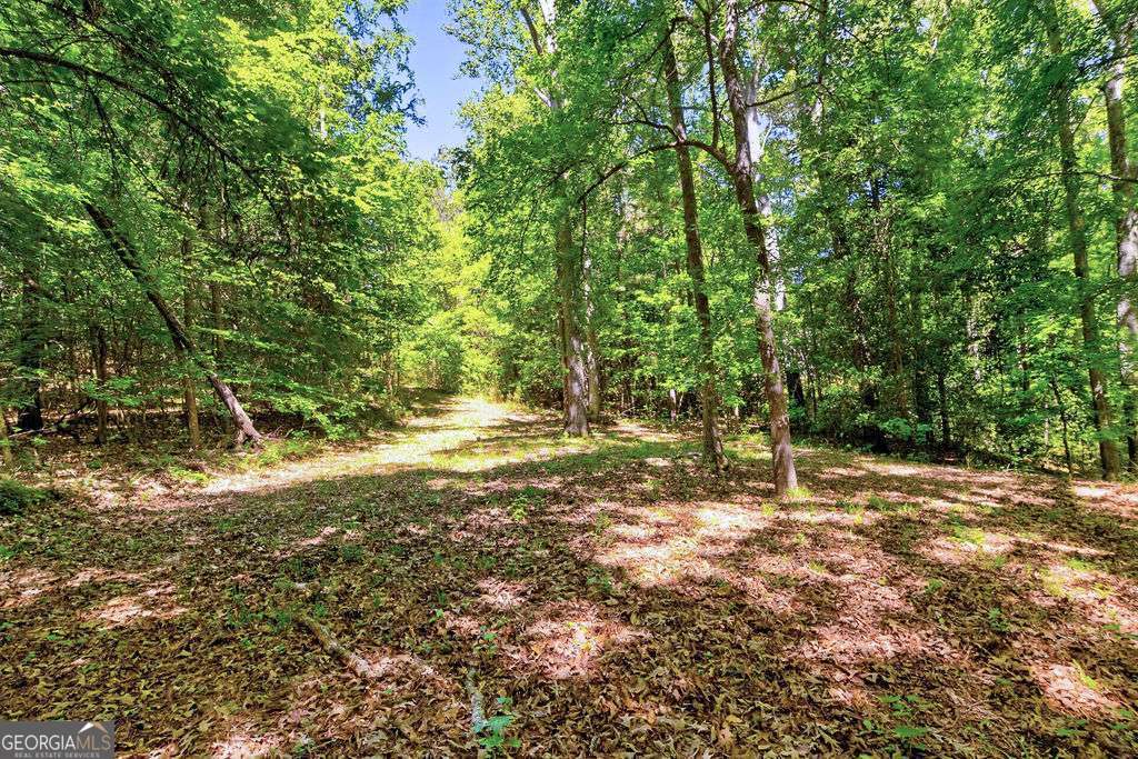 2917 Ruckersville Road Elberton, GA 30635 - Photo 9 of 18 a view of a tree with a yard