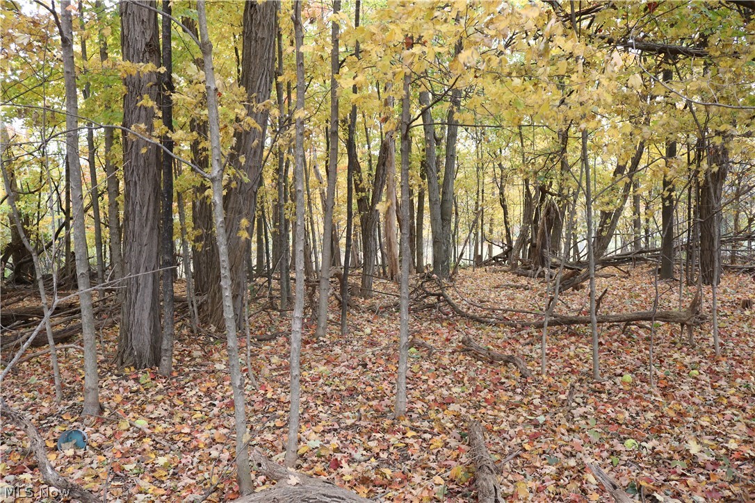 7410 Vandemark Road Lodi, OH 44254 - Photo 25 of 30 Gallery Image 25