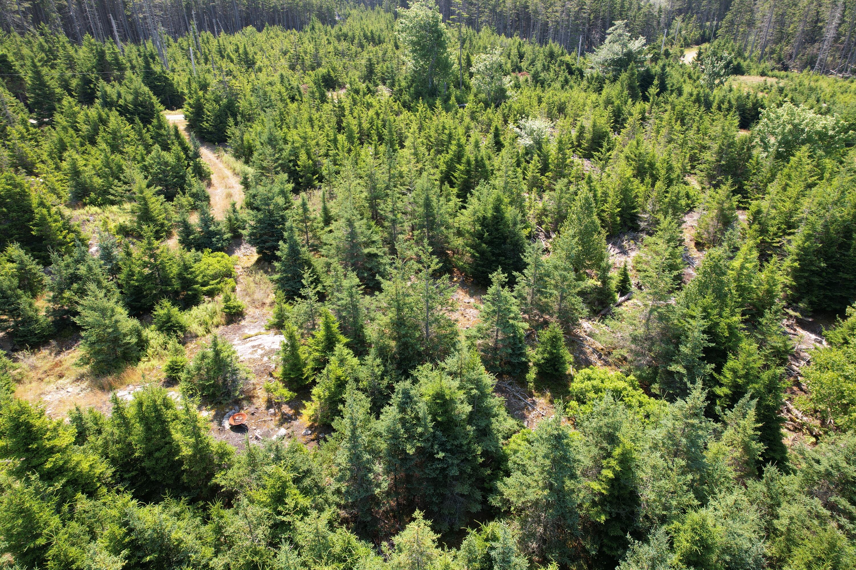 Lot 9 Jericho Bay Road Swans Island, ME 04685 - Photo 8 of 10 road and ledges