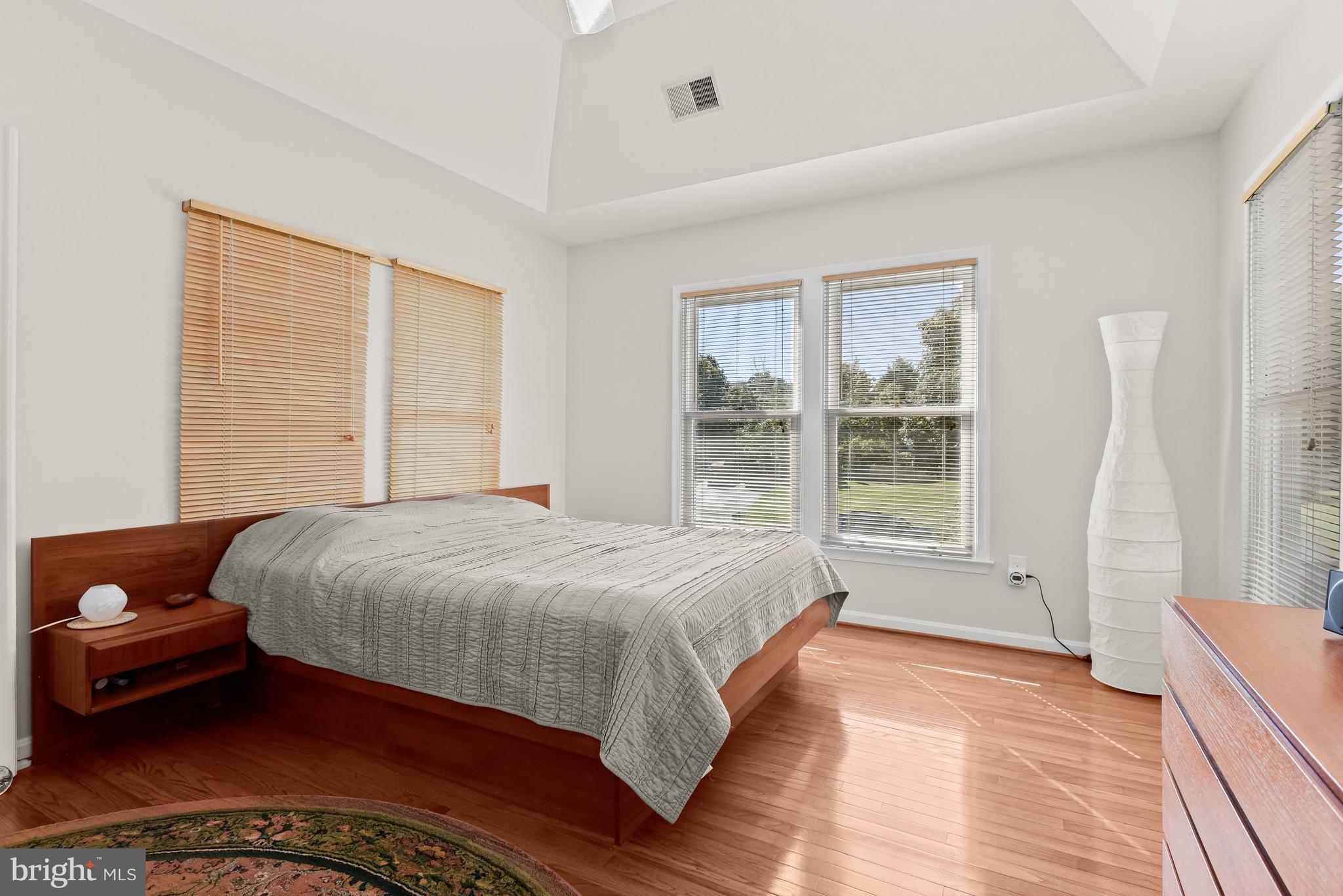 10352 Wetherburn Road Woodstock, MD 21163 - Photo 28 of 63 Spacious owners' suite with high tray ceiling