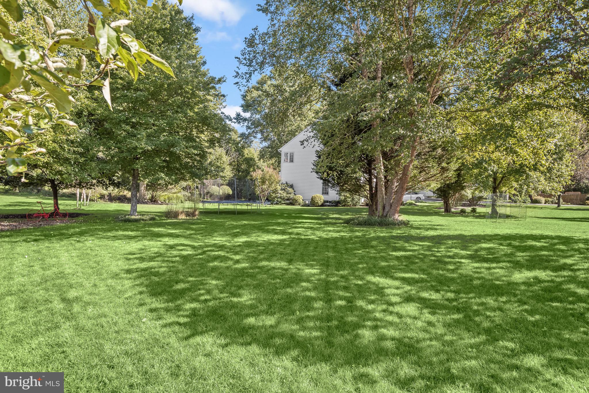 10352 Wetherburn Road Woodstock, MD 21163 - Photo 52 of 63 Level, landscaped grounds