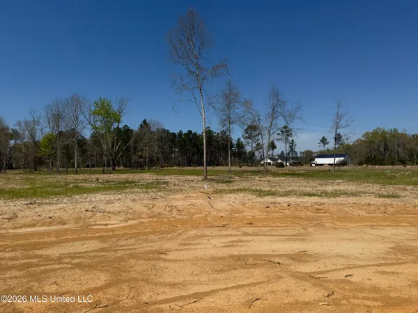 $49,900 | Lot 6 Oakley Lane, Lucedale, MS 39452