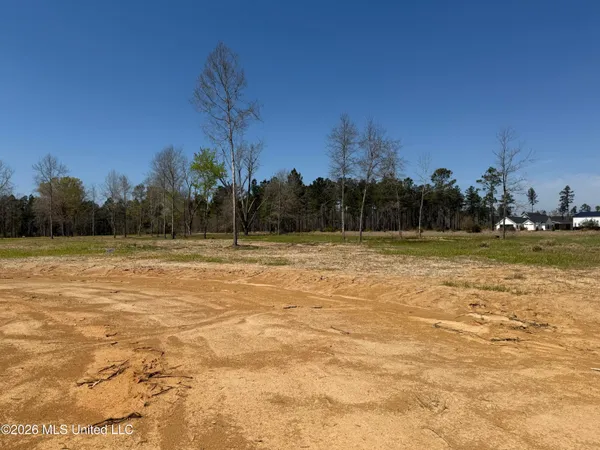 $49,900 | Lot 6 Oakley Lane, Lucedale, MS 39452