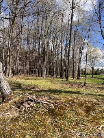 $30,000 | 3284 Walden Oaks Boulevard, Cortlandville, NY 13045