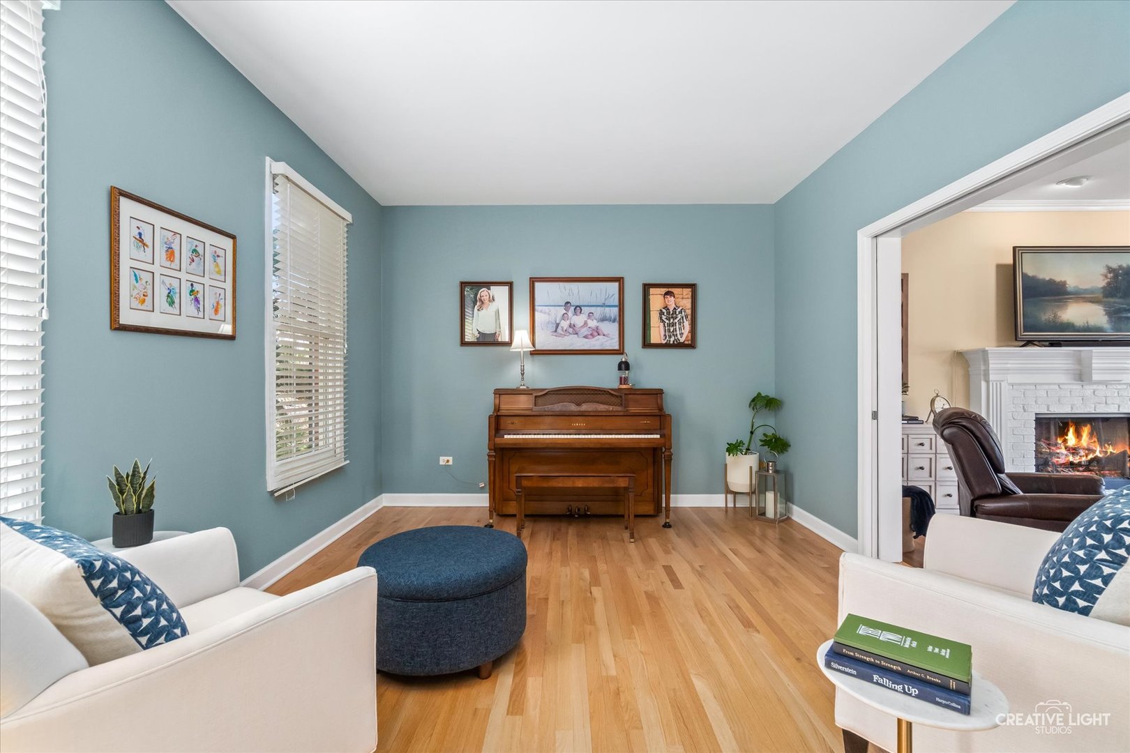2631 Wild Timothy Road Naperville, IL 60564 - Photo 7 of 36