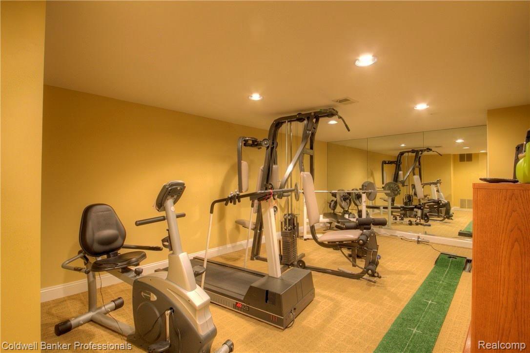 25561 Arcadia Drive Novi, MI 48374 - Photo 38 of 46 ARCADIA JG LL EX RM PHOTOGRAPHER.JPG