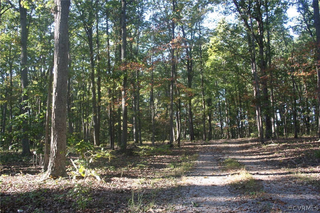 2290 Mill Road Powhatan, VA 23139 - Photo 24 of 24 Gallery Image 24