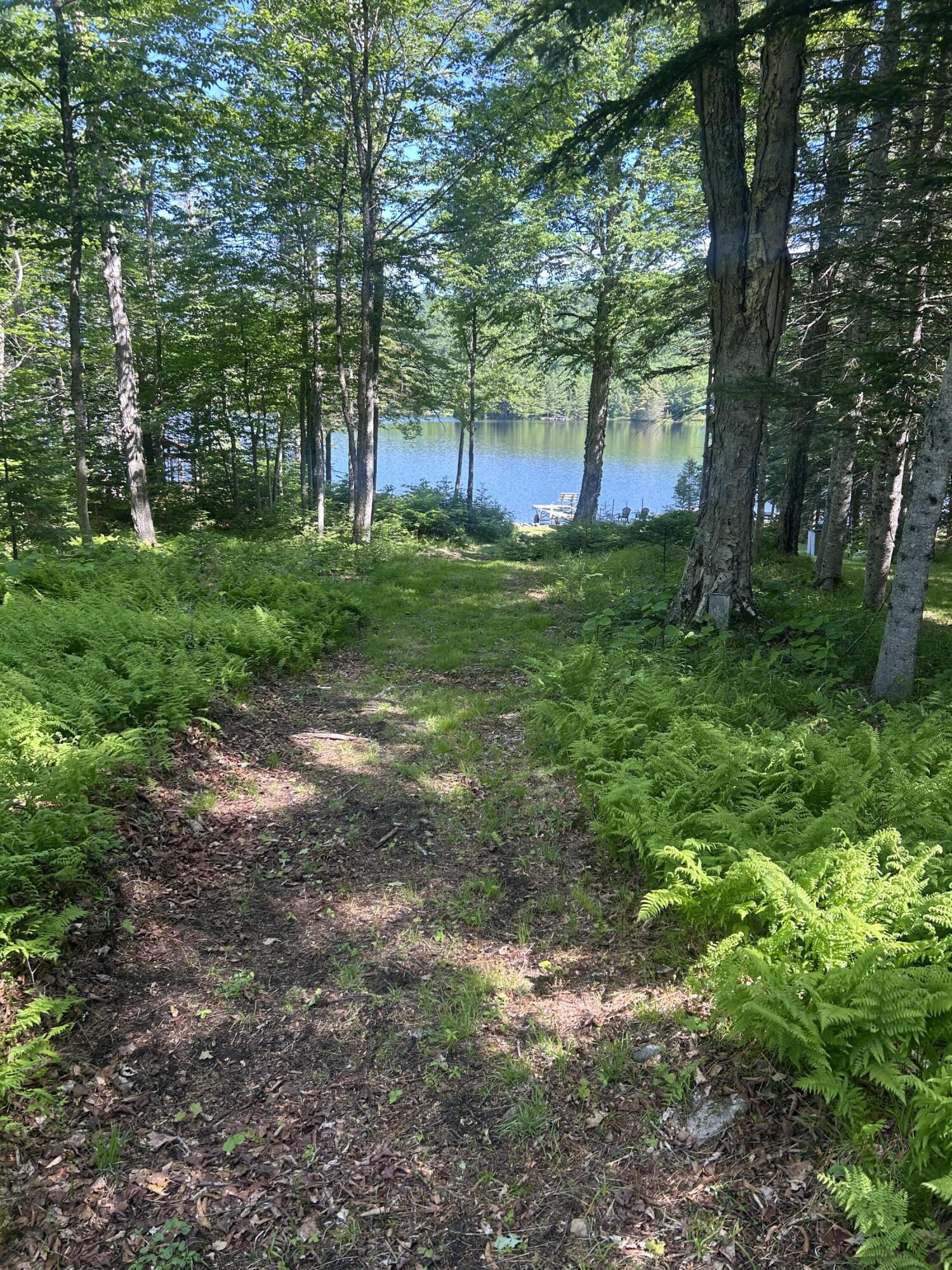 1204 Goodnow Flow Road Newcomb, NY 12852 - Photo 26 of 48